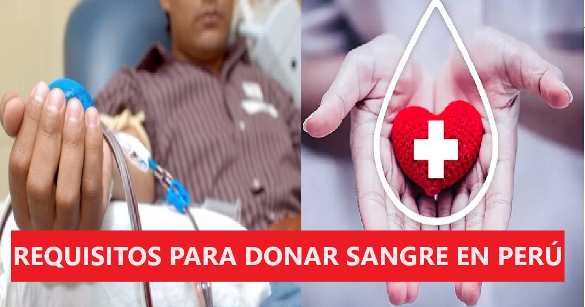 Requisitos para donar sangre en Perú