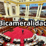 Bicameralidad