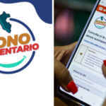 Bono Alimentario 2025