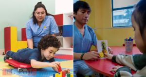 Trámite para la obtención del carné de técnico en Terapia Ocupacional en Perú