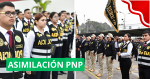 ASIMILACIÓN PNP