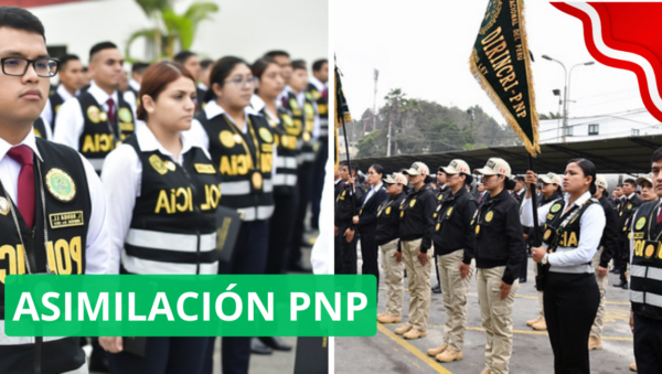 ASIMILACIÓN PNP