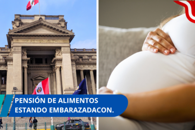 pensión de alimentos estando embarazada