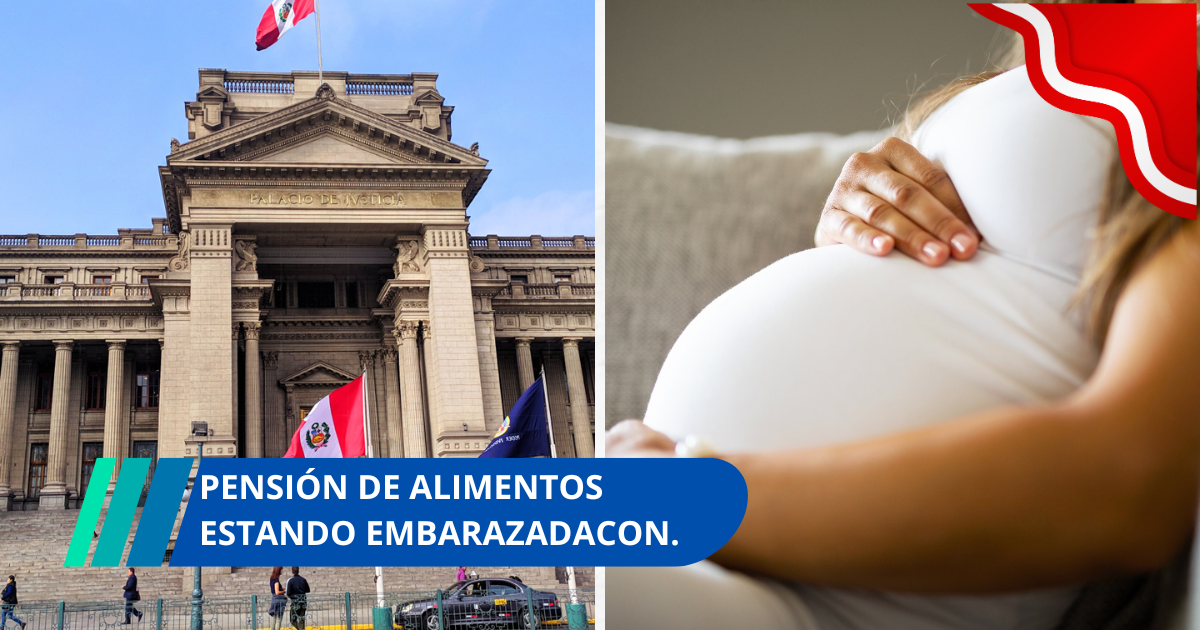 ¿Se puede pedir pensión de alimentos estando embarazada?