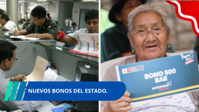 NUEVOS Bonos del Estado