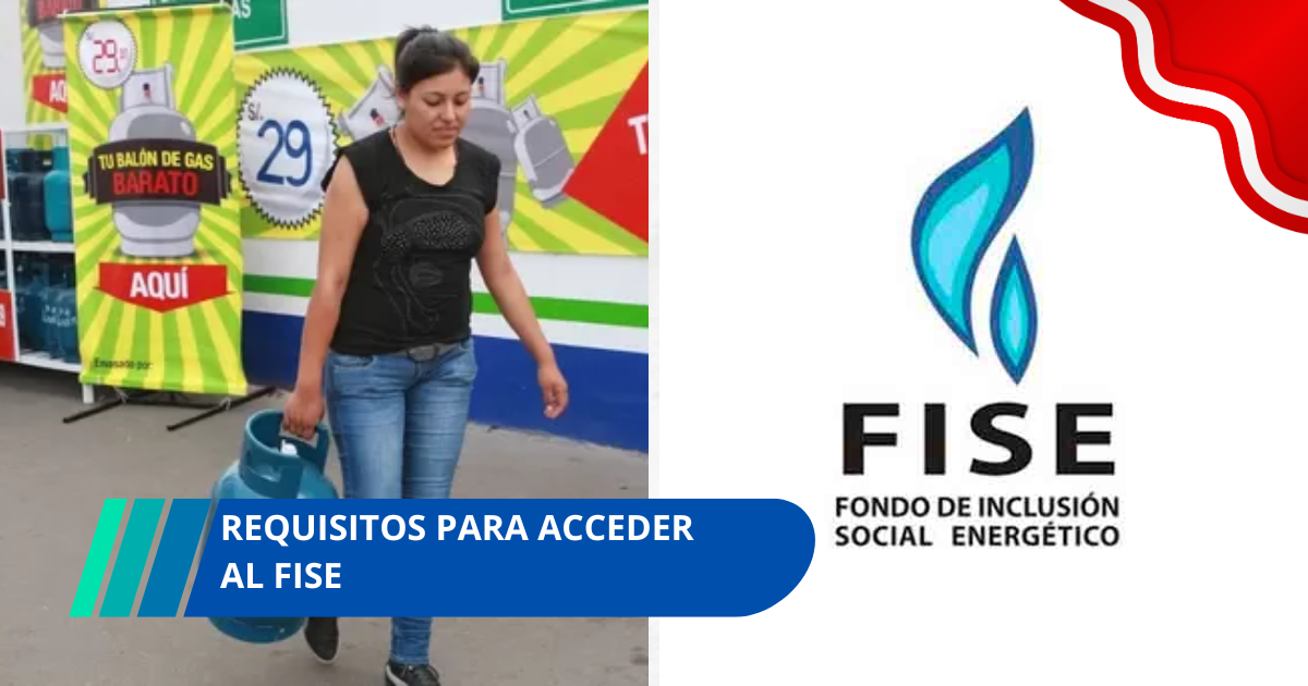 Requisitos para acceder al FISE